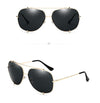Sunglasses Wolf Claw Rivet Men's