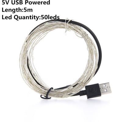 Christmas Light Led Outdoor Battery