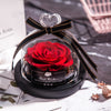 Valentine's Day Christmas Dried Flowers For Home Decor Wedding Gifts