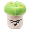 Plush Squeaky Dog Toy"