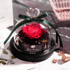 Valentine's Day Christmas Dried Flowers For Home Decor Wedding Gifts