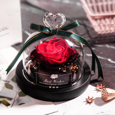 Valentine's Day Christmas Dried Flowers For Home Decor Wedding Gifts