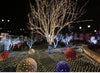 waterproof fishnet lights full of stars paved holiday lights wedding ins decorative lights