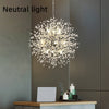 Dandelion Crystal Chandelier Restaurant