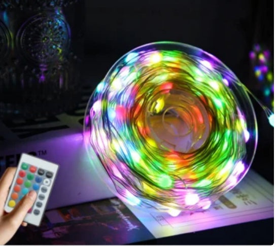 Multi Color LED Animated Outdoor Christmas
