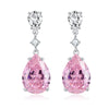 Fashion Personality Style Simple Earrings