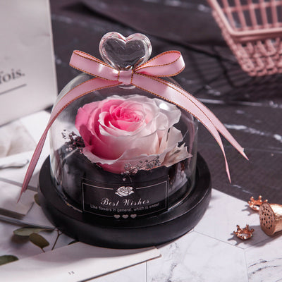 Valentine's Day Christmas Dried Flowers For Home Decor Wedding Gifts