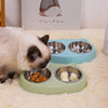 Stainless Steel Double Pet Food Bowl