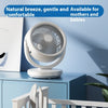 Large Wind Air Circulator Desk Mute Usb Fan